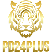 pd24plus สล็อตเว็บตรงแตกง่าย จ่ายจริง ระบบออโต้ที่วัยรุ่นต้องลอง